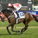 at Randwick on March 13, 2010  - photo   by Martin King / Sportpix copyright