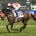 at Randwick on March 13, 2010  - photo   by Martin King / Sportpix copyright