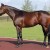 GHOSTZAPPER’S EXCELLENT WEEKEND